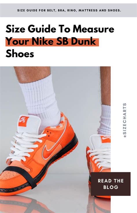 are dunks true to size